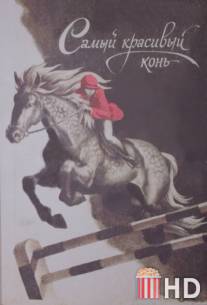 Самый красивый конь / Samyy krasivyy kon