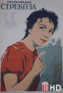 Стрекоза / Chrichina