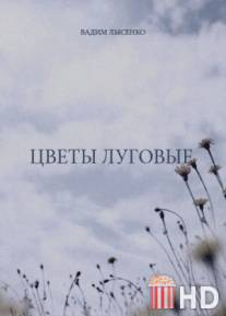 Цветы луговые / Tsvety lugovye