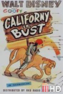 Californy er Bust