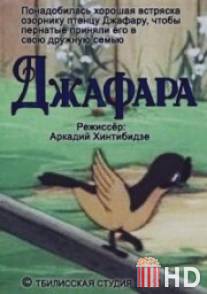 Джафара / Japara