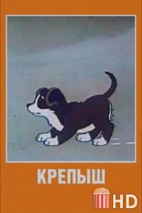 Крепыш / Krepysh