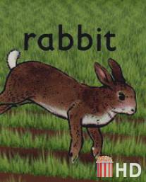 Кролик / Rabbit