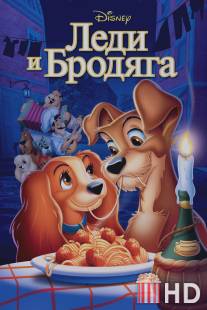 Леди и бродяга