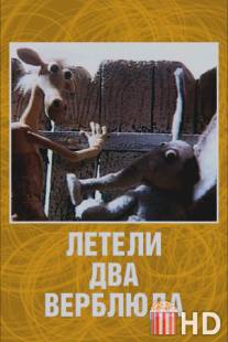 Летели два верблюда / Leteli dva verbluda