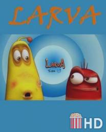 Личинки / Larva