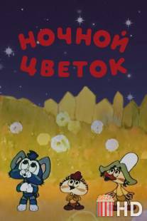 Ночной цветок / Nochnoy tsvetok