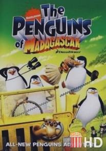 Пингвины из Мадагаскара / Penguins of Madagascar, The