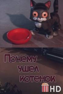 Почему ушел котенок / Pochemu ushel kotenok
