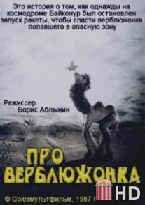 Про верблюжонка / Pro verbluzhonka