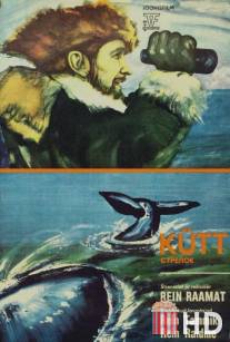 Стрелок / Kutt