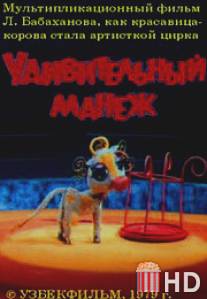 Удивительный манеж / Udivitelniy manezh