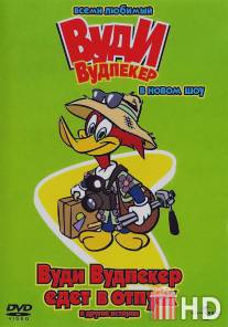 Вуди Вудпеккер / New Woody Woodpecker Show, The