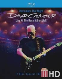 David Gilmour Remember That Night