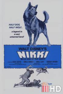 Дикий пес Севера / Nikki, Wild Dog of the North