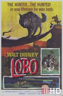 Легенда о Лобо / Legend of Lobo, The