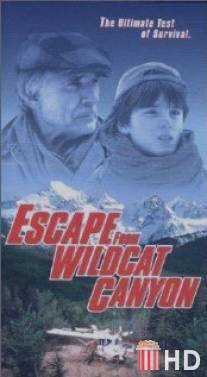 Побег из каньона дикой кошки / Escape from Wildcat Canyon