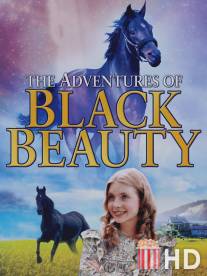 Приключения Черного Красавчика / Adventures of Black Beauty, The