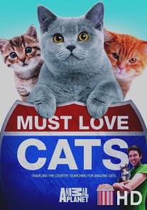 Кошек не любить нельзя / Must Love Cats