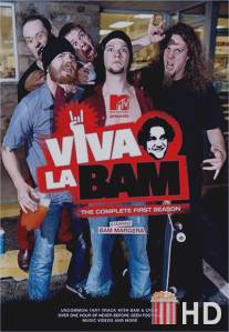 Вива ля Бэм / Viva la Bam