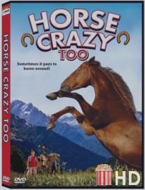 Приключение на ранчо «Гора гризли» / Horse Crazy 2: The Legend of Grizzly Mountain
