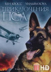 Приключения пса / Finding Rin Tin Tin