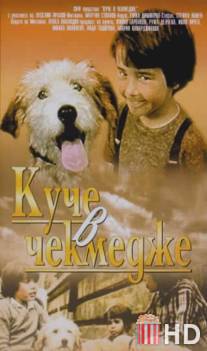Собака в ящике / Kuche v chekmedzhe