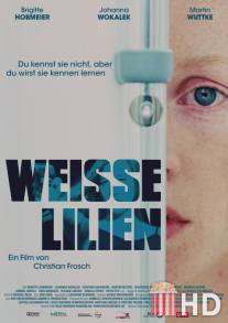 Белые лилии / Weisse Lilien