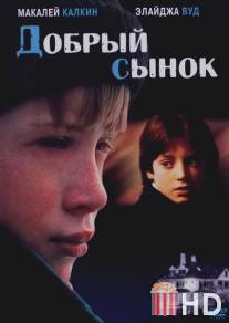 Добрый сынок / Good Son, The