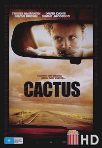 Кактус / Cactus