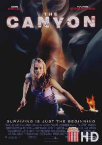 Каньон / Canyon, The