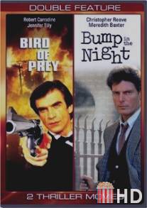 Хищная птица / Bird of Prey