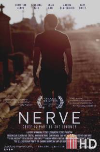 Нерв / Nerve