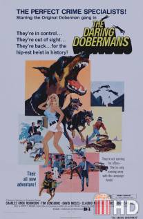 Отважные доберманы / Daring Dobermans, The