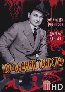 Последний гангстер / Last Gangster, The