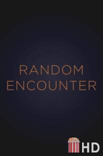 Случайная встреча / Random Encounter