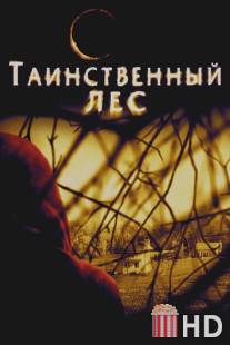Таинственный лес / Village, The