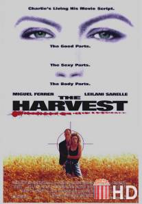 Урожай / Harvest, The