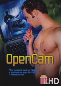 Вебкамера / Open Cam