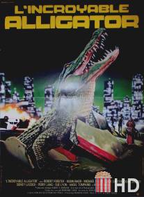 Аллигатор / Alligator