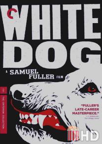 Белая собака / White Dog