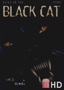 Черная кошка / Black Cat