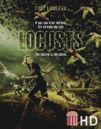 День саранчи / Locusts
