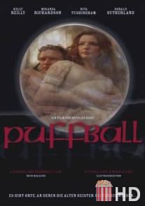 Гриб дождевик / Puffball