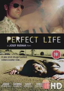 Идеальная жизнь / Perfect Life