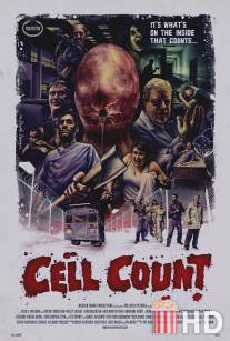 Количество клеток / Cell Count