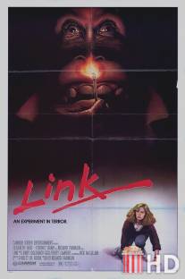 Линк / Link