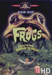 Лягушки / Frogs