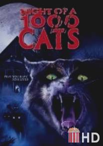 Ночь 1000 котов / La noche de los mil gatos