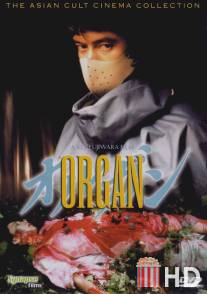 Орган / Organ